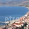 Houdis Houses_best deals_Room_Peloponesse_Arcadia_Doliana