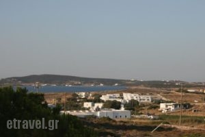 Lazino Studios And Apartments_accommodation_in_Apartment_Cyclades Islands_Paros_Piso Livadi