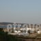 Lazino Studios And Apartments_accommodation_in_Apartment_Cyclades Islands_Paros_Piso Livadi