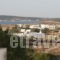 Lazino Studios And Apartments_travel_packages_in_Cyclades Islands_Paros_Piso Livadi