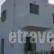 Lazino Studios And Apartments_best deals_Apartment_Cyclades Islands_Paros_Piso Livadi