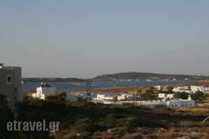 Lazino Studios And Apartments_holidays_in_Apartment_Cyclades Islands_Paros_Piso Livadi