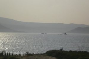 Magic Land_best prices_in_Hotel_Cyclades Islands_Naxos_Mikri Vigla