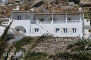 With-Inn_accommodation_in_Hotel_Cyclades Islands_Mykonos_Mykonos ora