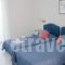 Karras Star Hotel_best prices_in_Hotel_Aegean Islands_Ikaria_Raches