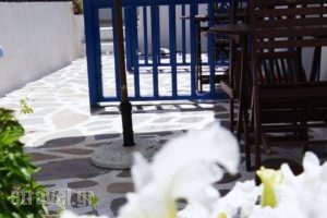 Giannis Hotel Apartments_best prices_in_Apartment_Cyclades Islands_Milos_Milos Chora