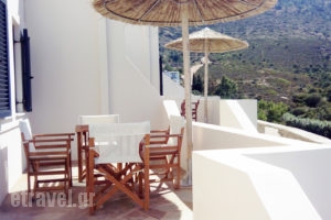 Andros Luxury House_best deals_Room_Cyclades Islands_Andros_Andros Rest Areas