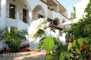 Aloe Villa_accommodation_in_Villa_Ionian Islands_Lefkada_Sivota