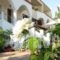 Aloe Villa_accommodation_in_Villa_Ionian Islands_Lefkada_Sivota