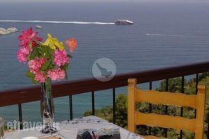 Sea View Studios_accommodation_in_Hotel_Sporades Islands_Skopelos_Skopelos Chora