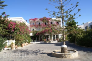 Skala Patmos_best deals_Hotel_Dodekanessos Islands_Patmos_Skala