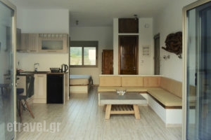 Manna Gea_holidays_in_Apartment_Central Greece_Aetoloakarnania_Vonitsa