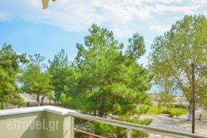 Alegria Studios_best deals_Room_Aegean Islands_Thasos_Chrysi Ammoudia