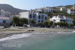 Toula Studio_holidays_in_Hotel_Aegean Islands_Ikaria_Ikaria Chora