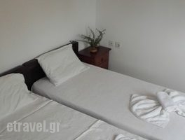 Rosmarinus studios_best prices_in_Room_Aegean Islands_Samos_Potokaki