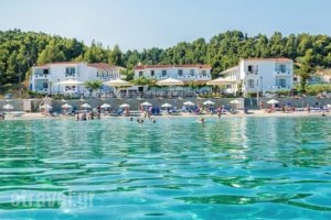 Dolphin Beach Hotel_accommodation_in_Hotel_Macedonia_Halkidiki_Kassandreia