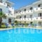 Dolphin Beach Hotel_holidays_in_Hotel_Macedonia_Halkidiki_Kassandreia