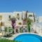 Hotel Proteas_best prices_in_Hotel_Cyclades Islands_Naxos_Agios Prokopios