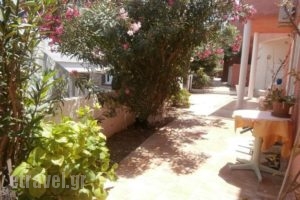 Vigla_holidays_in_Apartment_Crete_Chania_Galatas