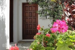 Studios Petros_best prices_in_Hotel_Cyclades Islands_Naxos_Naxos chora