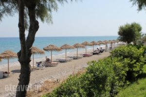 D'Andrea Mare Beach Hotel_holidays_in_Hotel_Dodekanessos Islands_Rhodes_Archagelos