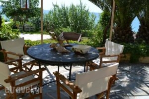 Aloe Studios_holidays_in_Hotel_Ionian Islands_Kefalonia_Kefalonia'st Areas