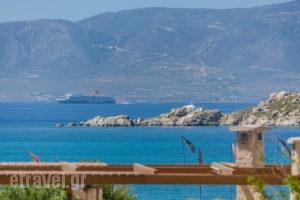 Diamantis studios_lowest prices_in_Apartment_Cyclades Islands_Naxos_Mikri Vigla