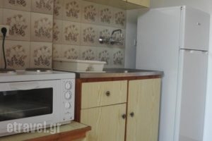 Thomas Apartments_holidays_in_Apartment_Epirus_Preveza_Kamarina