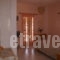 Arokaria_accommodation_in_Apartment_Ionian Islands_Kefalonia_Mousata