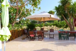 Dias_best deals_Apartment_Crete_Chania_Koyrnas