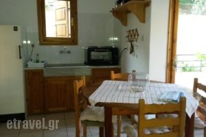 Vasso Afissos Studios_accommodation_in_Apartment_Thessaly_Magnesia_Afissos