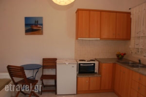 Vrisiana studios_accommodation_in_Room_Cyclades Islands_Sifnos_Sifnosora