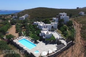 Villa Sofia_accommodation_in_Villa_Cyclades Islands_Andros_Agios Petros