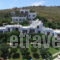 Villa Sofia_travel_packages_in_Cyclades Islands_Andros_Agios Petros