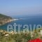 Sea View Studios_holidays_in_Hotel_Sporades Islands_Skopelos_Skopelos Chora