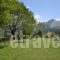 Aloni_best deals_Room_Epirus_Arta_Theodoriana