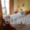 Alexandris_holidays_in_Hotel_Piraeus Islands - Trizonia_Spetses_Spetses Chora