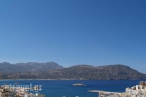 Roses Studios_best prices_in_Hotel_Dodekanessos Islands_Karpathos_Karpathos Chora