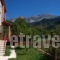 _lowest prices_in_Hotel_Epirus_Arta_Kipseli