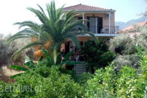 Zacharogianni Studios_accommodation_in_Hotel_Ionian Islands_Lefkada_Vasiliki