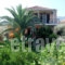 Zacharogianni Studios_accommodation_in_Hotel_Ionian Islands_Lefkada_Vasiliki