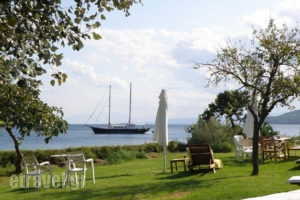 Angeliki Beach_accommodation_in_Hotel_Sporades Islands_Skiathos_Skiathos Chora