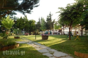 Kleopatra_best prices_in_Apartment_Macedonia_Halkidiki_Kallithea