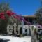 Katerina Pension_travel_packages_in_Sporades Islands_Skopelos_Panormos