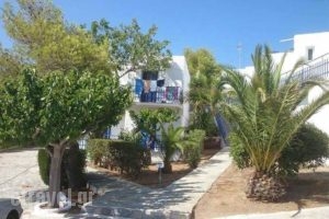 Aetos Beach Bungalows_accommodation_in_Hotel_Central Greece_Evia_Karystos