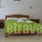 Aggelos_holidays_in_Room_Central Greece_Evia_Edipsos