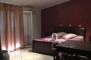 Pansion Olga_lowest prices_in_Room_Epirus_Preveza_Parga