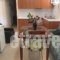 Studios Elena_best deals_Room_Aegean Islands_Lesvos_Lesvos Rest Areas