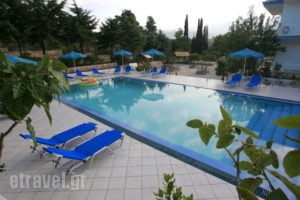 Blue White Hotel Studios Apartments_lowest prices_in_Apartment_Ionian Islands_Kefalonia_Kefalonia'st Areas