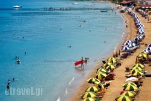 Hotel Roulis_best prices_in_Hotel_Ionian Islands_Corfu_Corfu Rest Areas